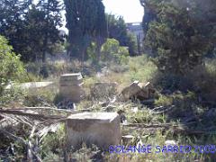 LA SENIA CIMETIERE (3) 2005
